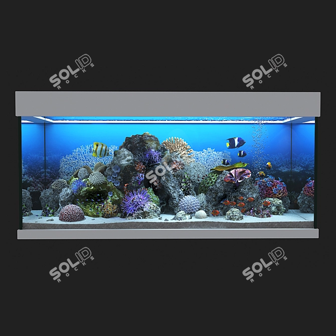 Ocean Bliss Glass Aquarium 3D model image 3