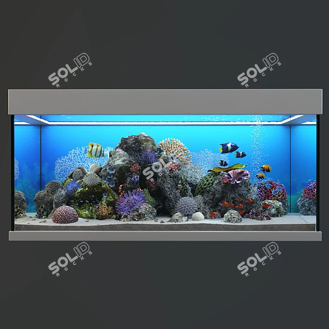 Ocean Bliss Glass Aquarium 3D model image 4