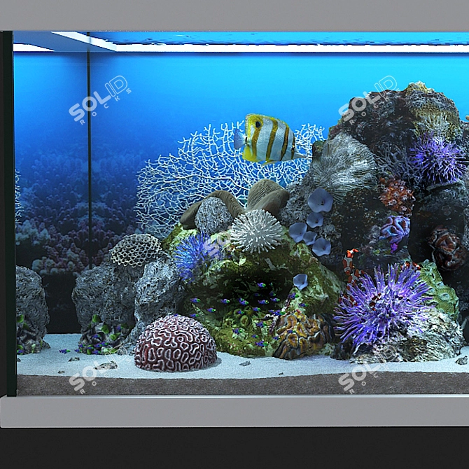 Ocean Bliss Glass Aquarium 3D model image 5