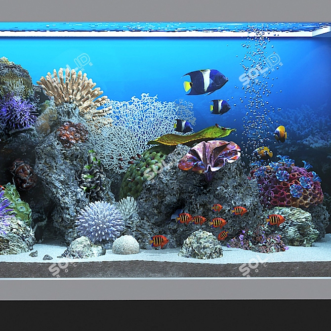 Ocean Bliss Glass Aquarium 3D model image 6