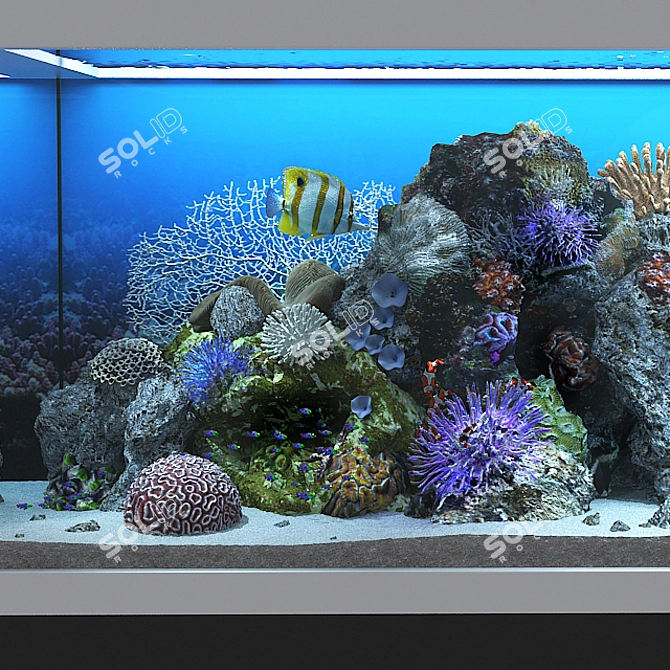 Ocean Bliss Glass Aquarium 3D model image 14