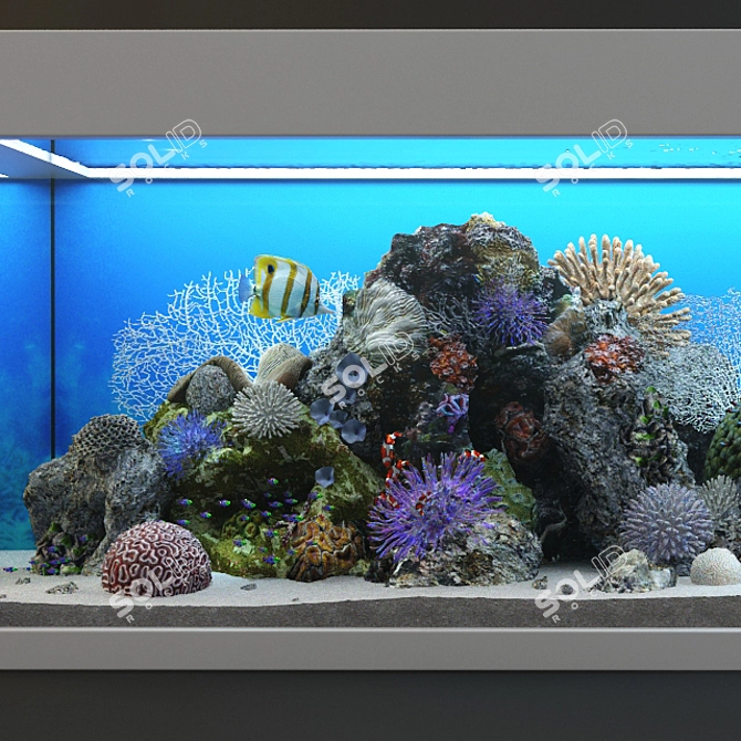 Ocean Bliss Glass Aquarium 3D model image 16