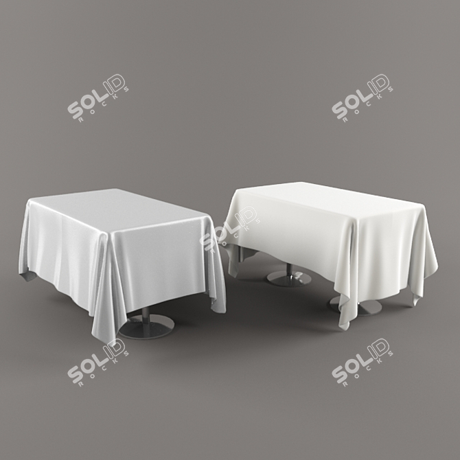 Two Variants Rectangle Tablecloth 3D model image 1