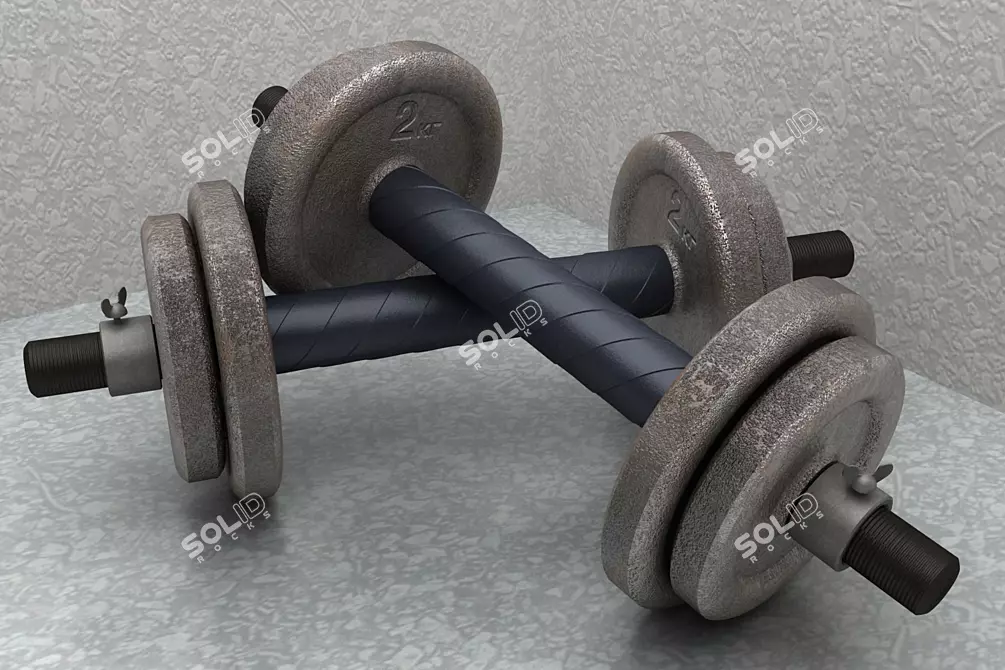 Versatile Dumbbells: Ideal for Total Body Workout 3D model image 1