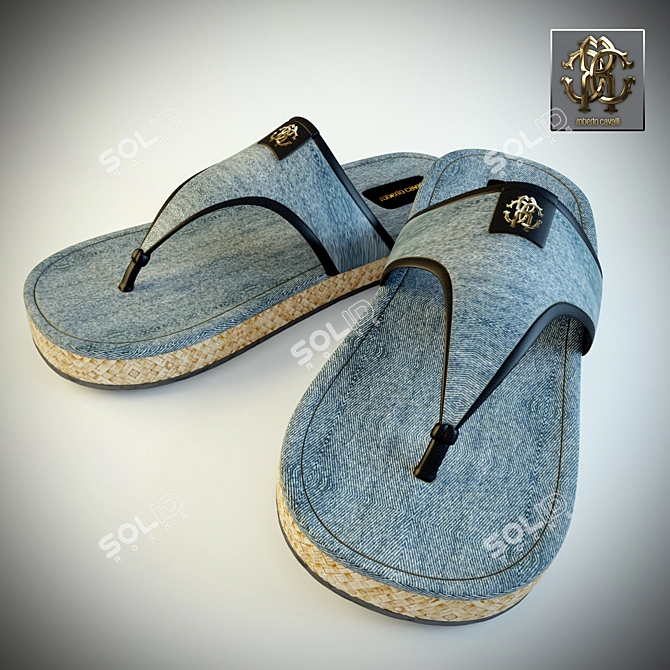 Luxury Men's Slippers by Roberto Cavalli 3D model image 1