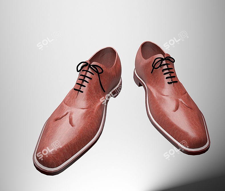 Tailored Material Men's Shoes 3D model image 1