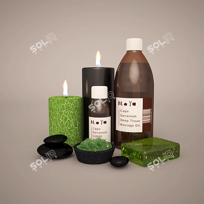 Luxury Spa Experience 3D model image 1