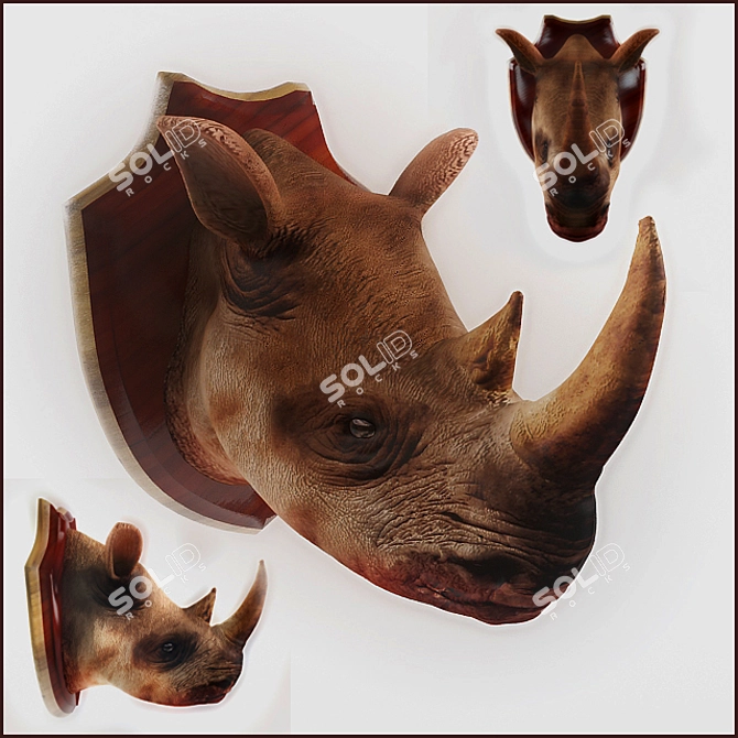 Rhino - Textured Collectible Addition 3D model image 1