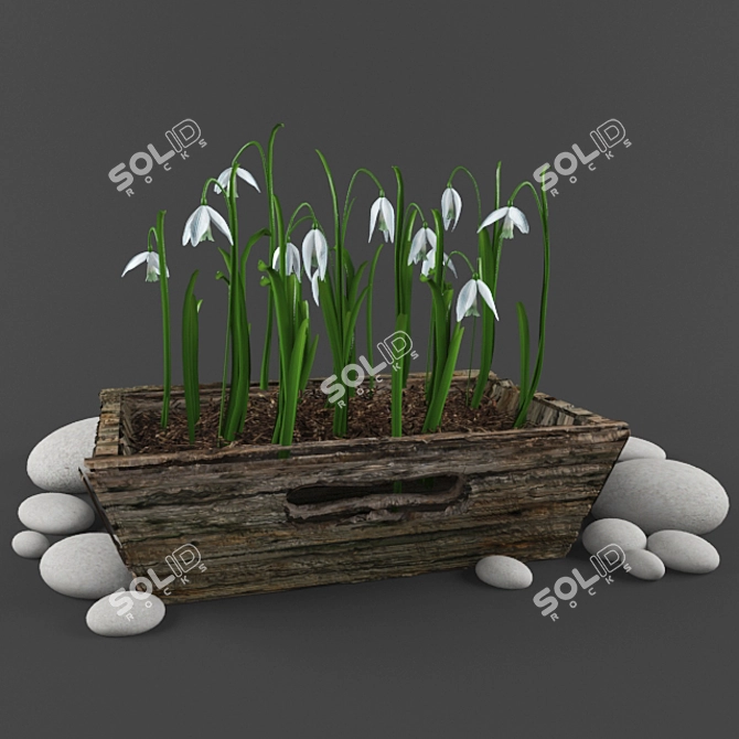 Snowdrop Serenade 3D model image 1