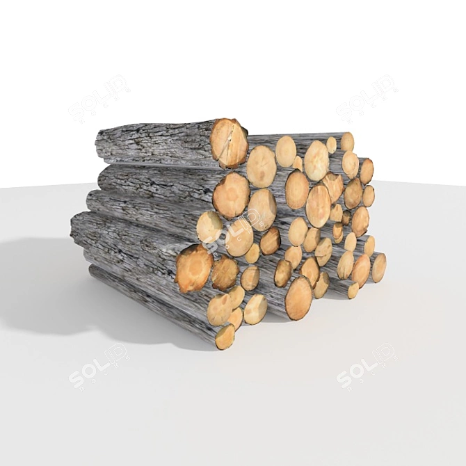 Cozy Fires: Quality Firewood 3D model image 1