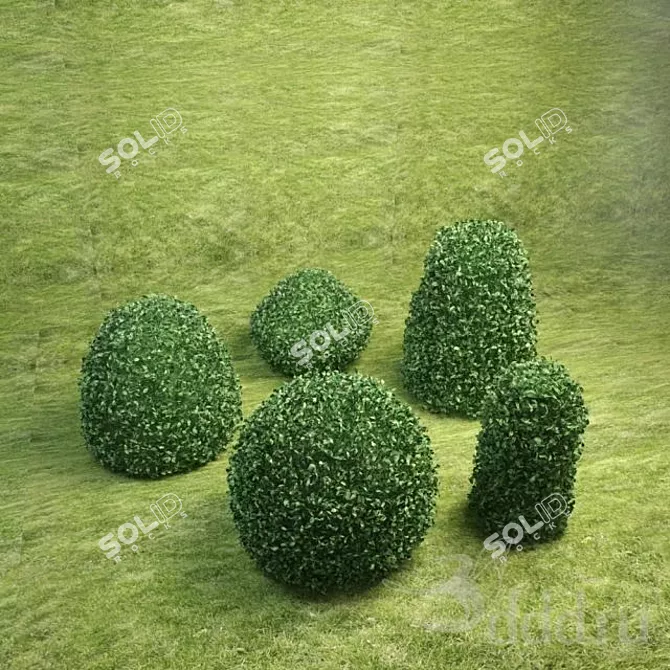 Lush Landscaping: Variety of Bushes 3D model image 1