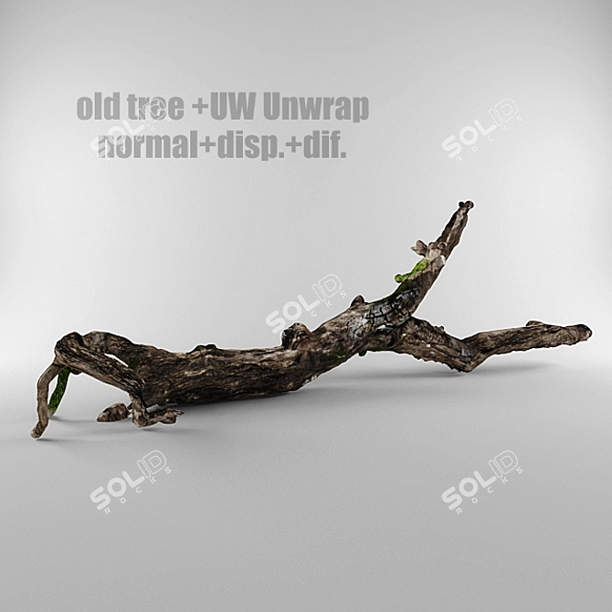 Ancient Oak 3D Texture 3D model image 1