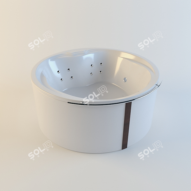 Luxury Hydro Massage Bathtub 3D model image 1