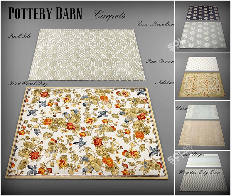 Pottery Barn Rug Collection: 10 Models + 35 Textures 3D model image 1