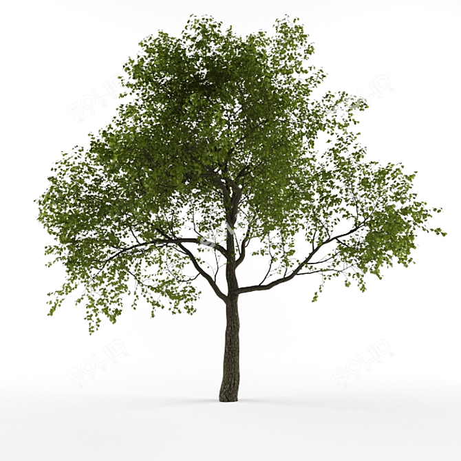 Nature's Beauty: Majestic Tree 3D model image 1