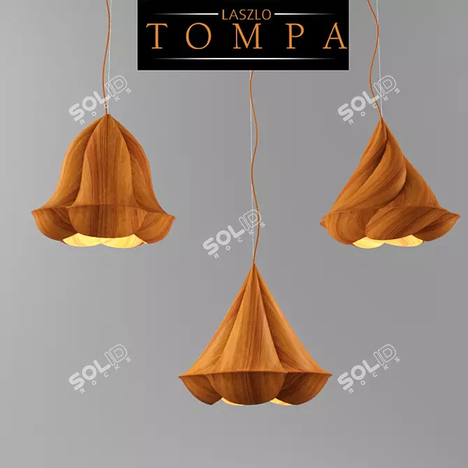 Laszlo Tompa Flower Lamp 3D model image 1