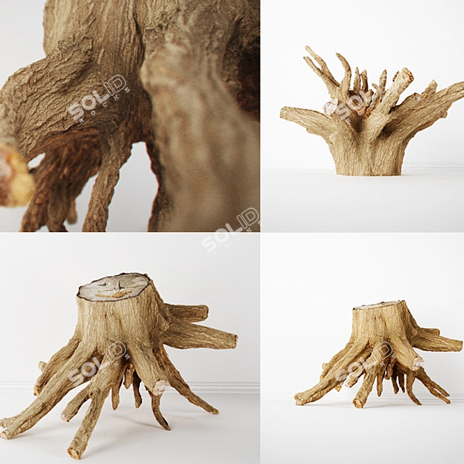 Detailed 8K Textured Stump 3D model image 1
