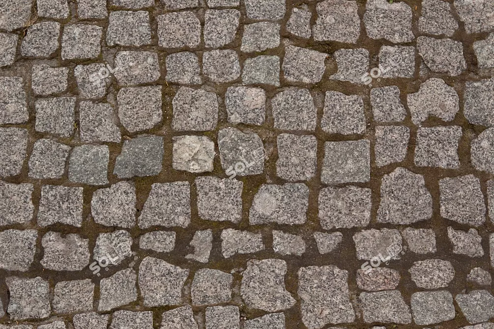 Pavers:
Seamless texture 3D model image 1
