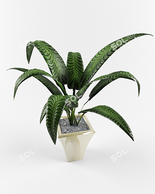 Indoor Greenery: Ideal Houseplants 3D model image 1