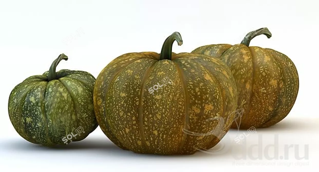  Trio of Pumpkins: Growth & Maturity 3D model image 1