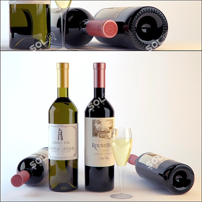 Elegant Merlot Reserve: Fine Wine 3D model image 1