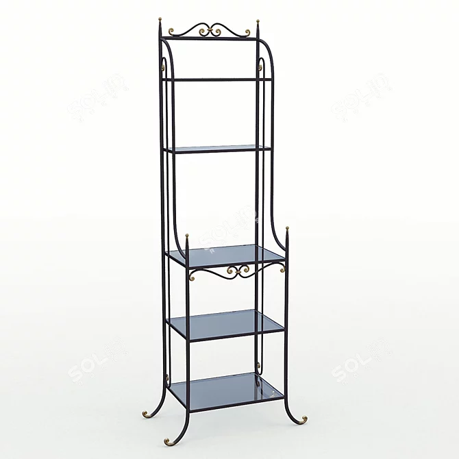 Ferro Bookcase: Sleek and Functional 3D model image 1