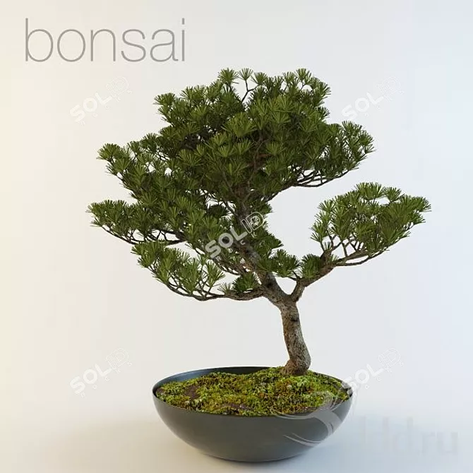 Zen Bonsai Tree - Serenity in Nature 3D model image 1