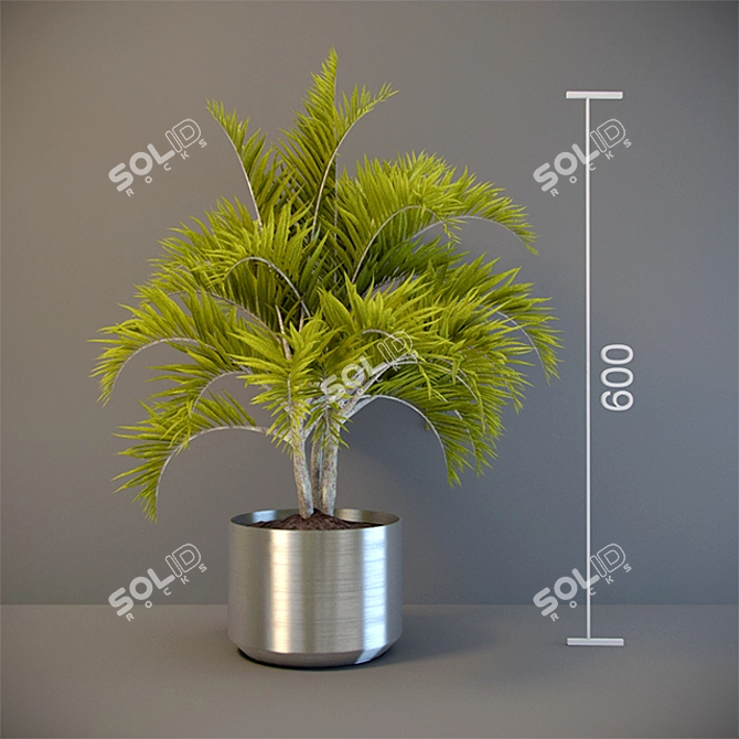 Tropical Vibes: Palma 3D model image 1