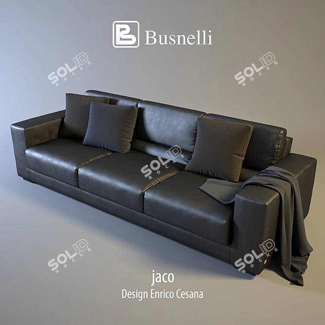 Busnelli Jaco: Luxurious Sofa for Elegant Living 3D model image 1