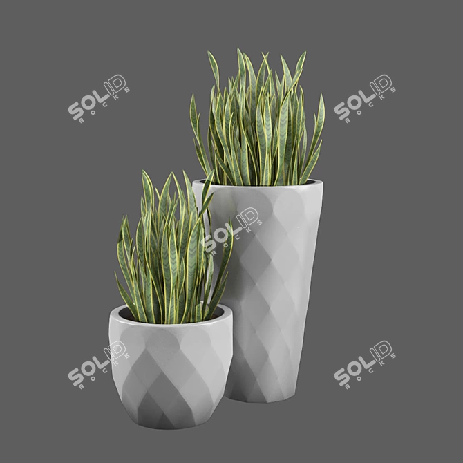 JM Ferrero Vazon: Elegant Macetero Vases 3D model image 1