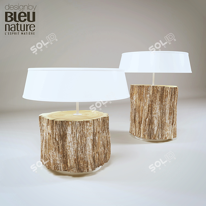Natural Wood and Metal Lamp 3D model image 1
