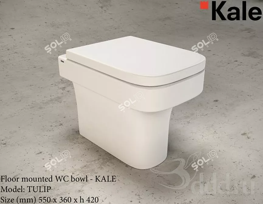 KALE TULIP Floor Mounted WC 3D model image 1