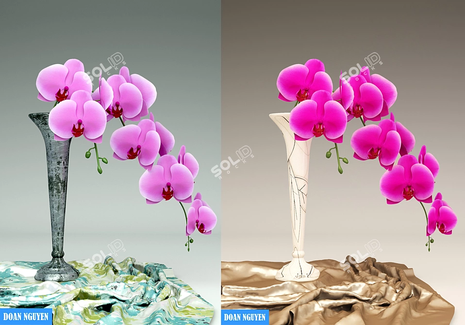 Elegant Orchid Blooms 3D model image 1