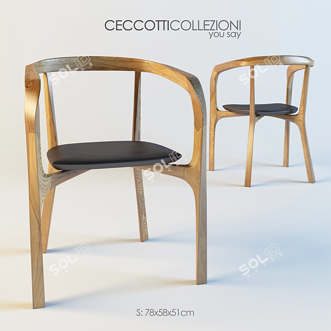 Ceccotti Roberto Lazzeroni Chair 3D model image 1