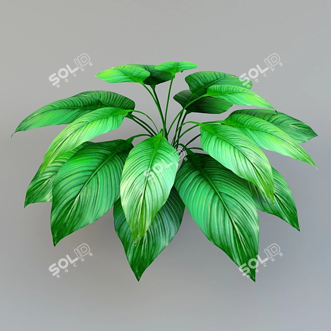 Evergreen Garden Bush 3D model image 1