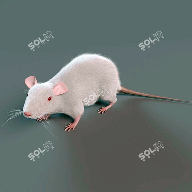 Title: Animated Cat Mouse: Hair & Fur 3D model image 2