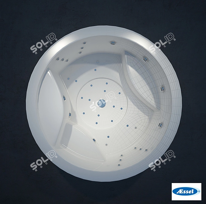 Luxury Round Acrylic Tub 3D model image 1