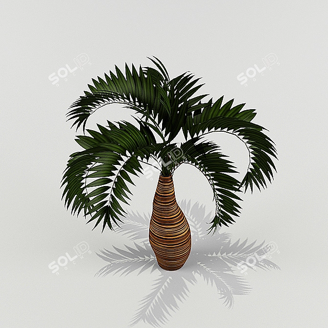 Lush Green Plant for Sale 3D model image 1