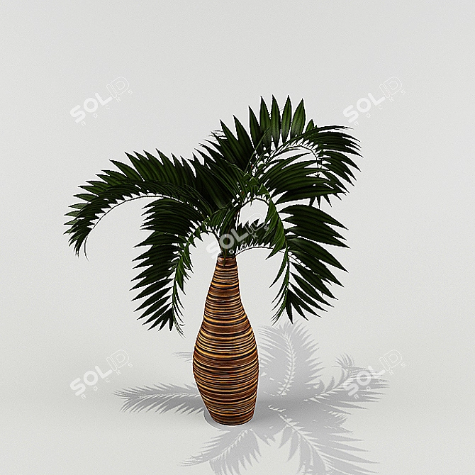 Lush Green Plant for Sale 3D model image 2