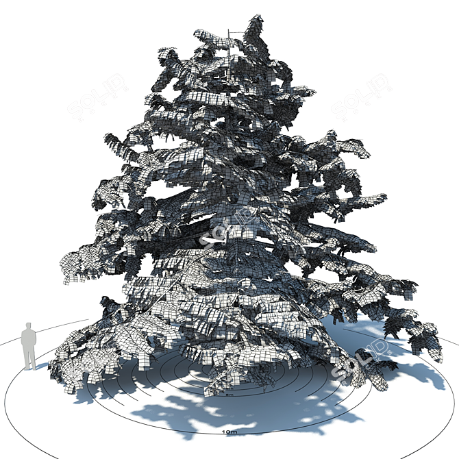 Lebanese Cedar - Cedrus Libani 3D model image 2