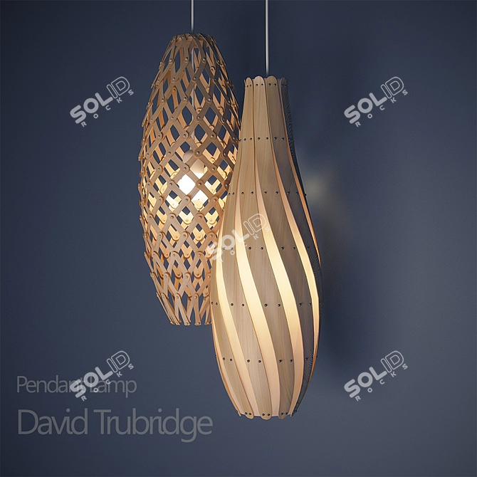 Elegant Trubridge Pendant Light 3D model image 1