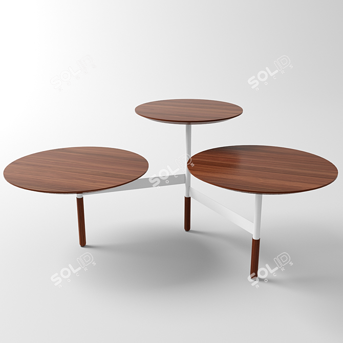 Modern Walnut Lily Pad Coffee Table 3D model image 1