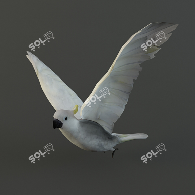 Poly Parrot: Rigged, Animated, Textured 3D model image 1