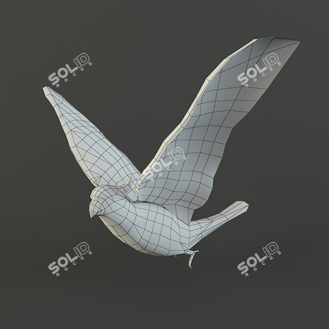 Poly Parrot: Rigged, Animated, Textured 3D model image 2