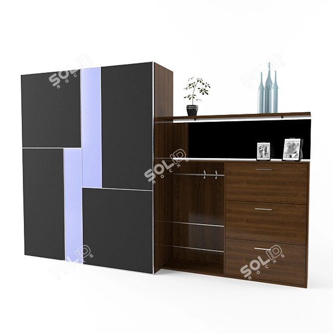 Stylish Hallway Closet 3D model image 1