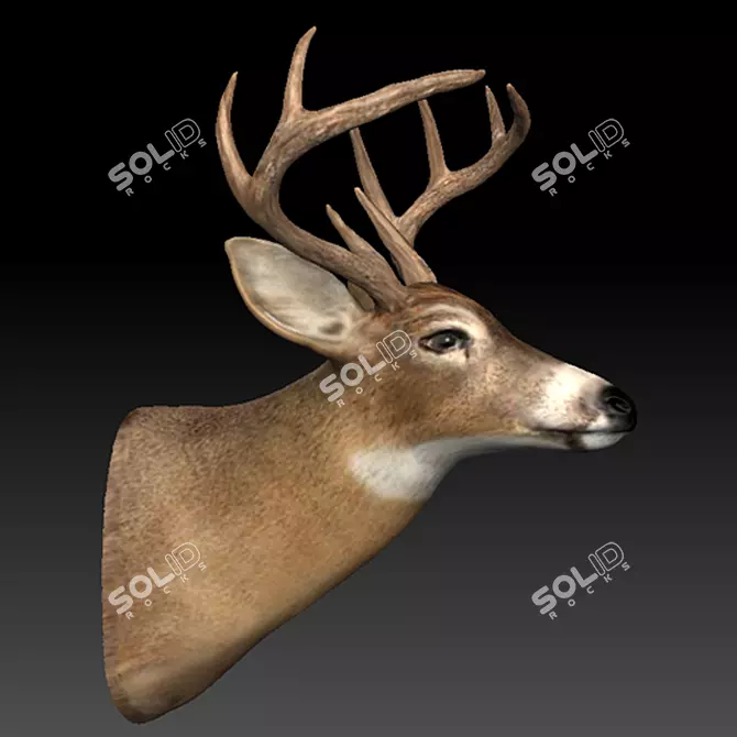 Elegant Deer Head Décor 3D model image 1