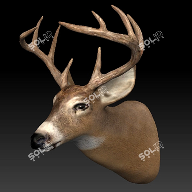 Elegant Deer Head Décor 3D model image 2