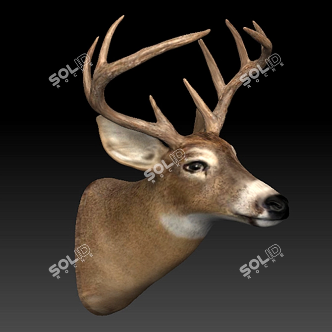 Elegant Deer Head Décor 3D model image 3