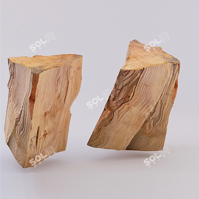 Warmth and Beauty: Birch Trunk Fireplace 3D model image 1