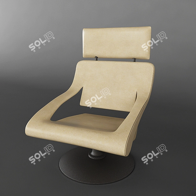 Elegant and Compact DS255 Chair 3D model image 1